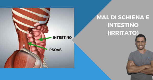 Mal Di Schiena Quando La Causa In Realt Nellintestino Irritato L Altra Riabilitazione