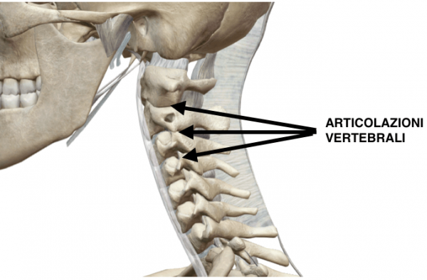 Sintomi Problemi Prime Vertebre Cervicali Quali Sono E Cosa Fare