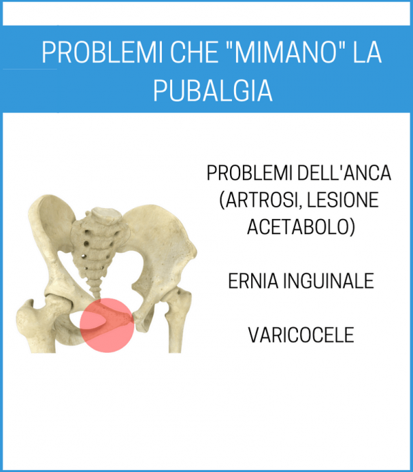 Curare La Pubalgia In Step Esercizi E Rimedi Che Funzionano