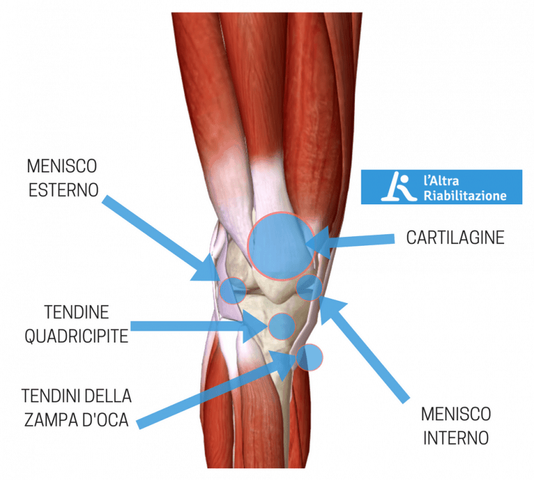 Dolore del ginocchio dopo o durante la corsa: cosa lo causa e come si