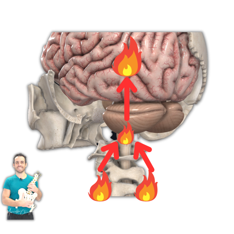 Cervicale E Sintomi Neurologici Quali Sono Ed Esercizi Mirati